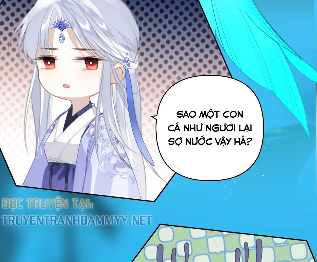 dong-hai-tim-my-nhan-chap-3-64