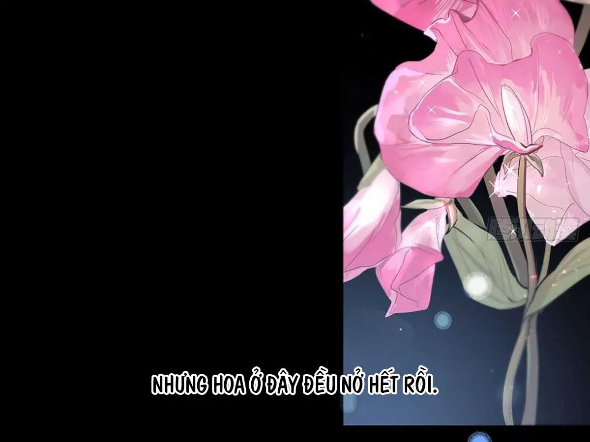 than-tien-chieu-co-chap-2-120