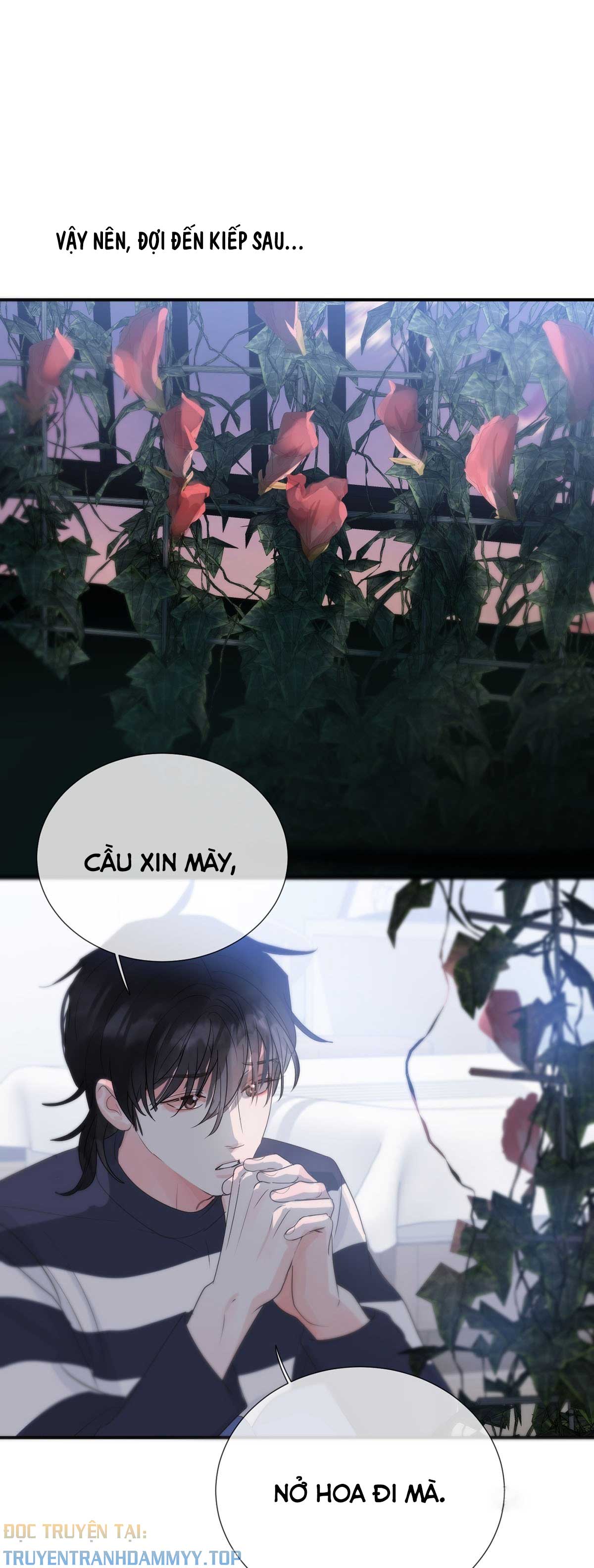 than-tien-chieu-co-chap-31-26