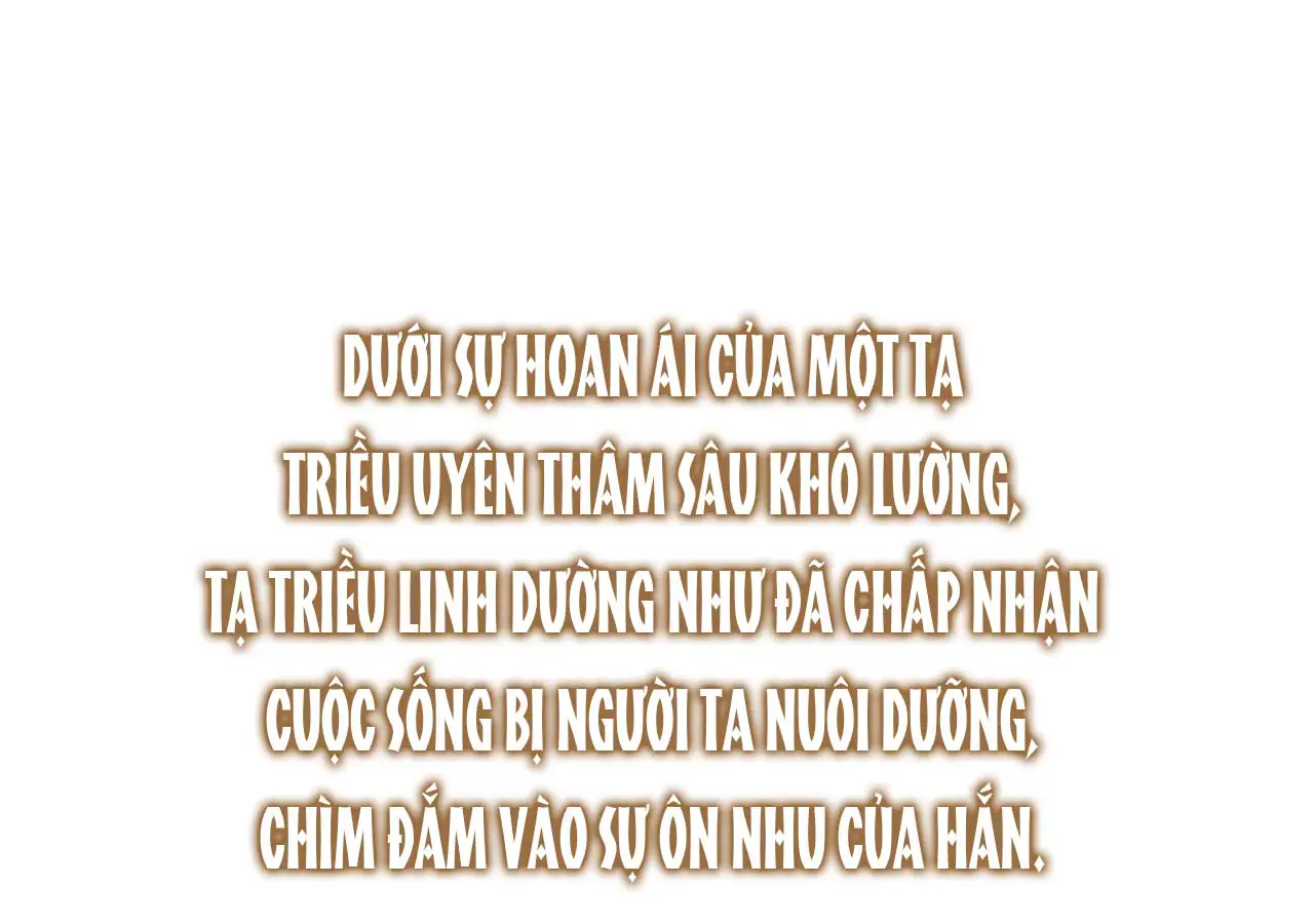 dan-tieu-van-dam-chap-1-24