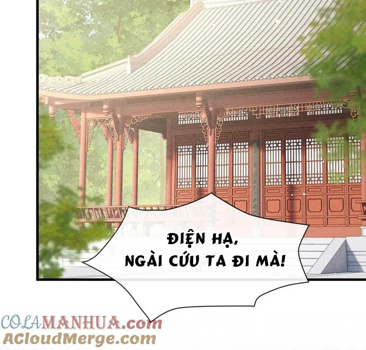 dan-tieu-van-dam-chap-37-16