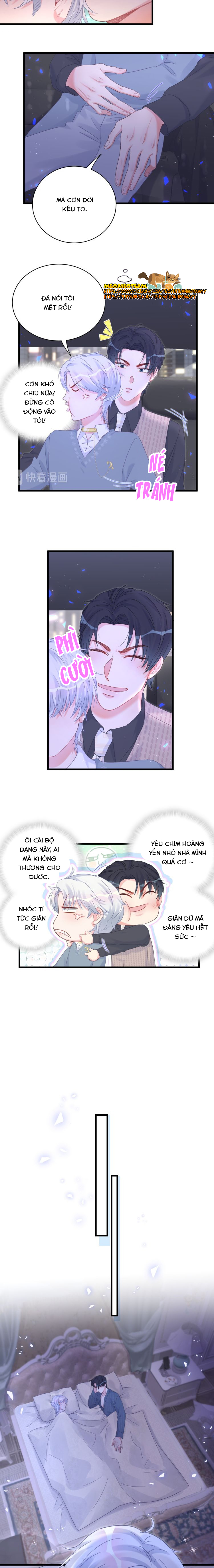 chim-hoang-yen-bi-rang-buoc-boi-chinh-minh-chap-27-7