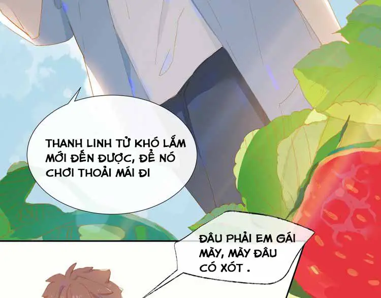 kinh-cuu-chap-21-23