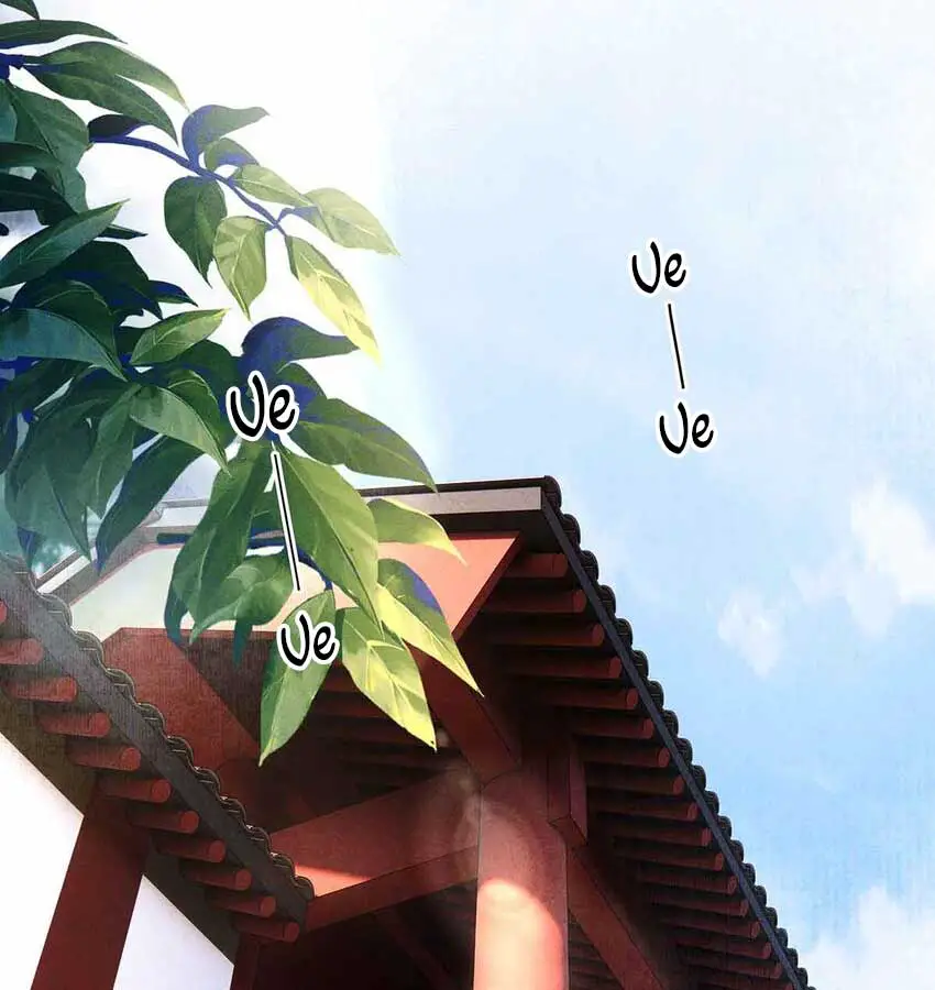su-de-tiet-thao-cua-nguoi-roi-mat-roi-chap-135-2
