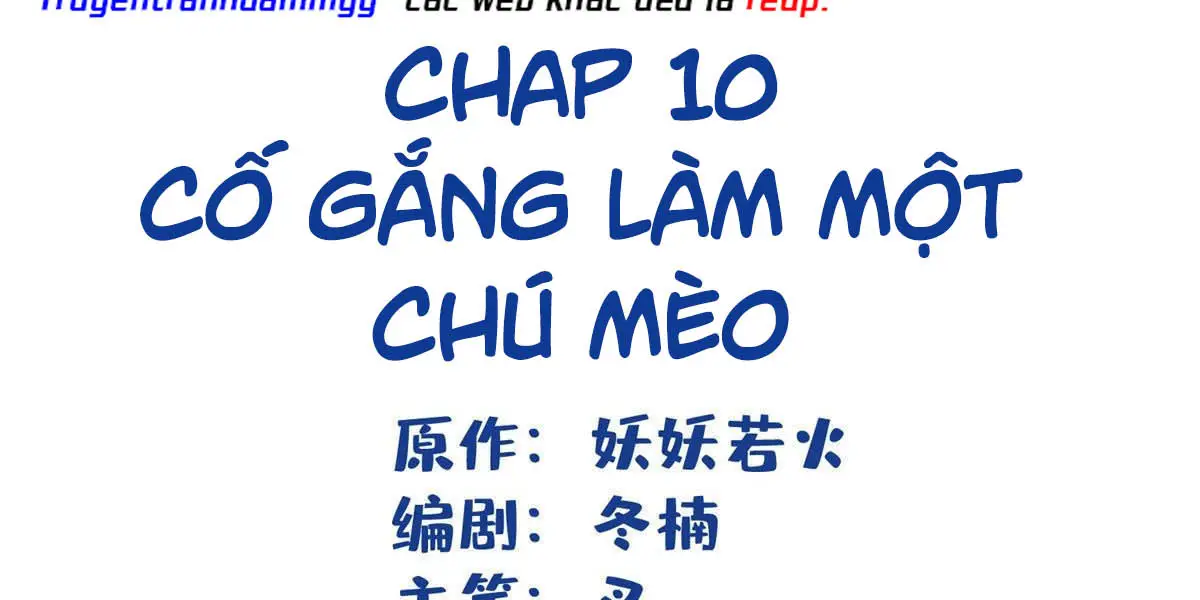 hom-nay-van-phai-no-luc-lam-mot-chu-meo-chap-10-3