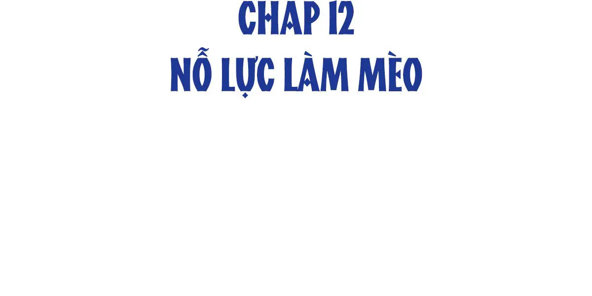 hom-nay-van-phai-no-luc-lam-mot-chu-meo-chap-12-4