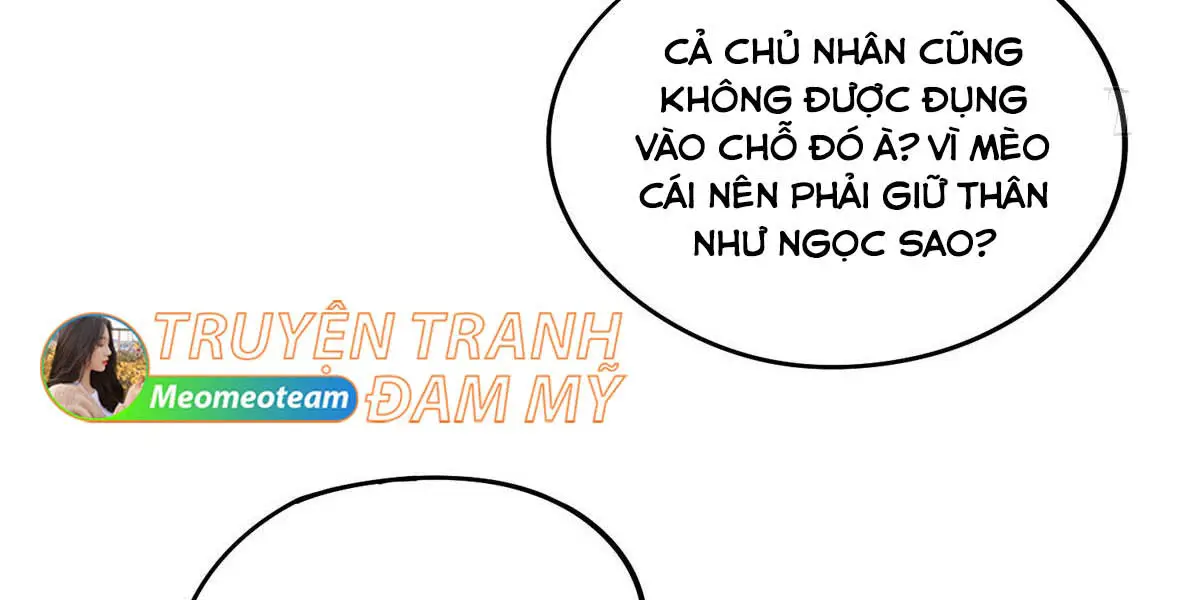 hom-nay-van-phai-no-luc-lam-mot-chu-meo-chap-12-121