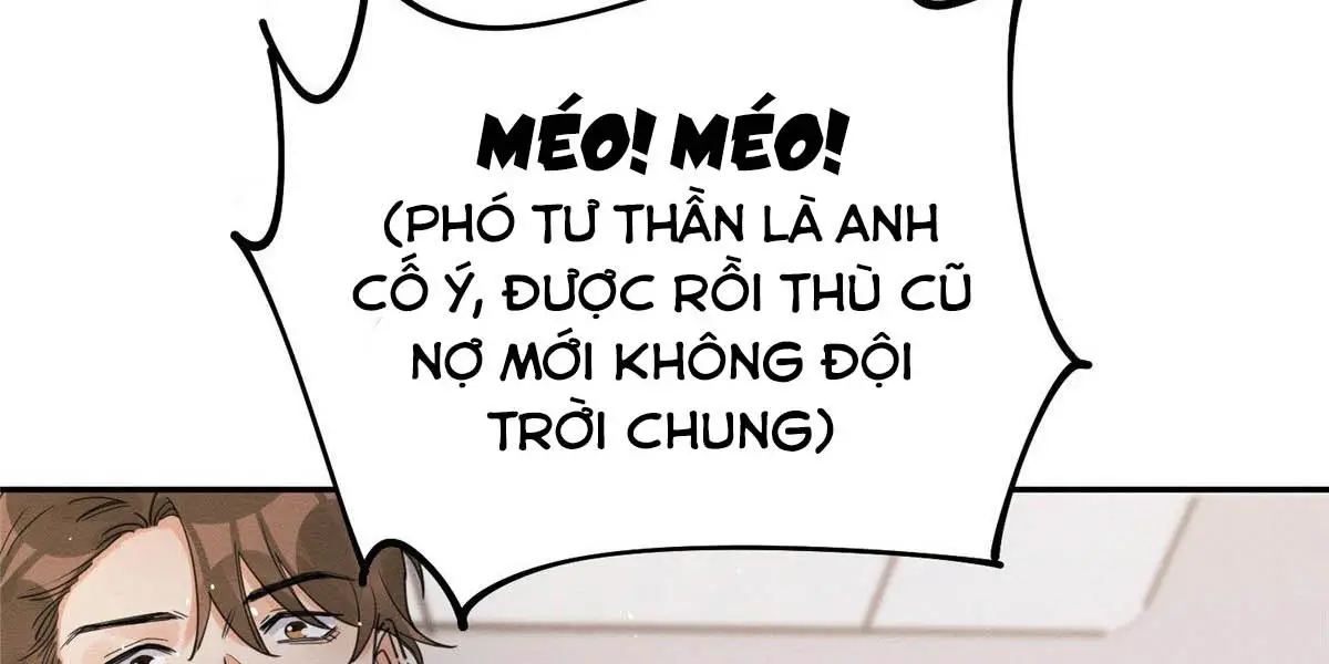 hom-nay-van-phai-no-luc-lam-mot-chu-meo-chap-13-110