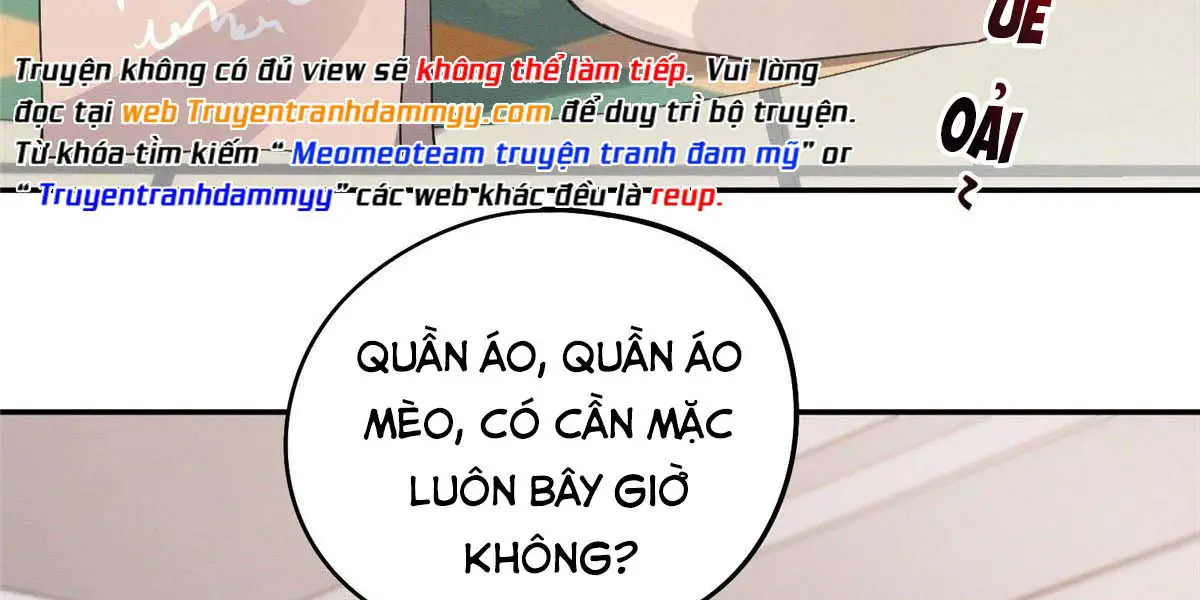 hom-nay-van-phai-no-luc-lam-mot-chu-meo-chap-14-48