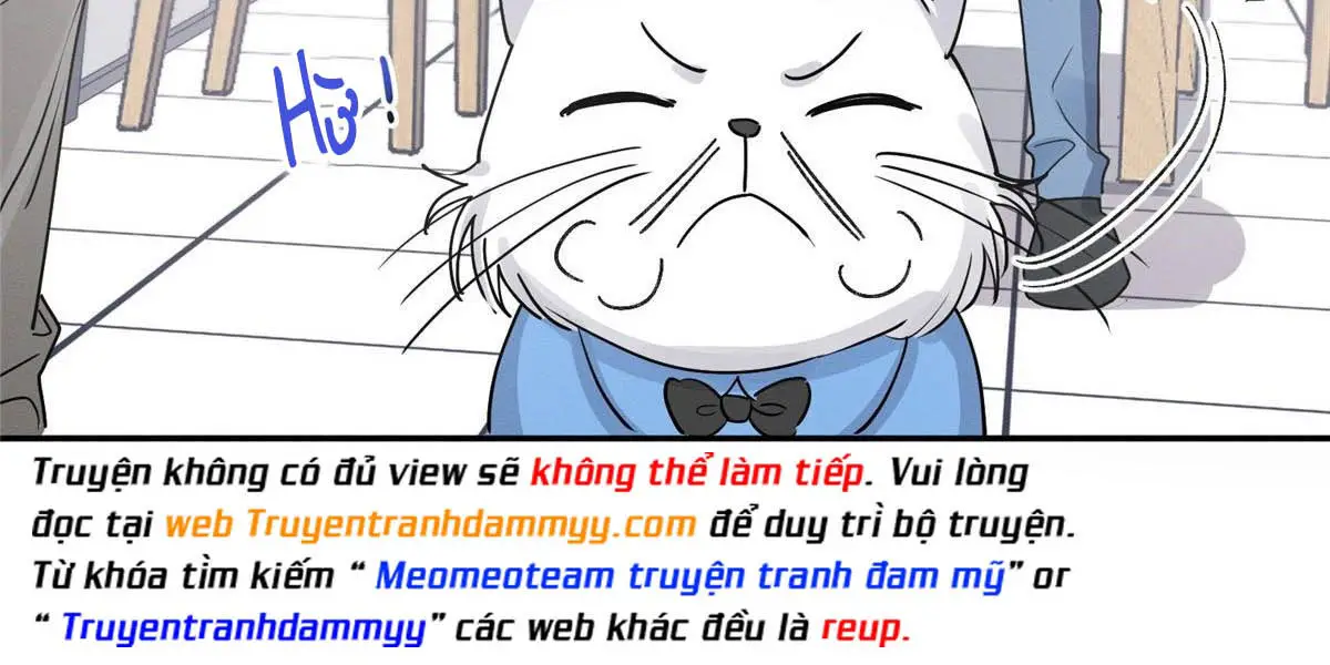 hom-nay-van-phai-no-luc-lam-mot-chu-meo-chap-14-145