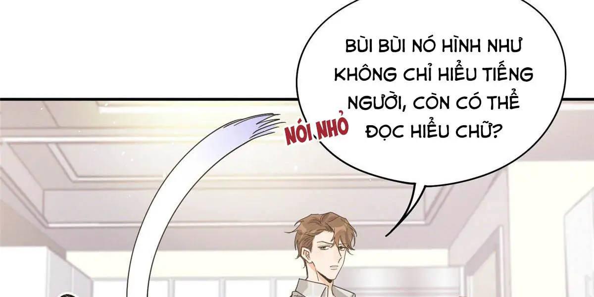 hom-nay-van-phai-no-luc-lam-mot-chu-meo-chap-14-155