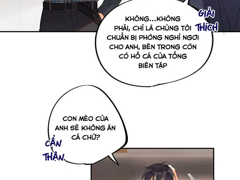 hom-nay-van-phai-no-luc-lam-mot-chu-meo-chap-23-61