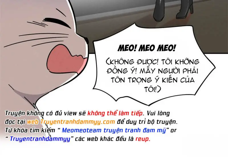 hom-nay-van-phai-no-luc-lam-mot-chu-meo-chap-25-18