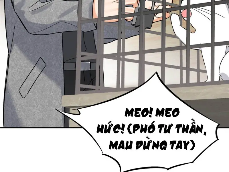 hom-nay-van-phai-no-luc-lam-mot-chu-meo-chap-27-8