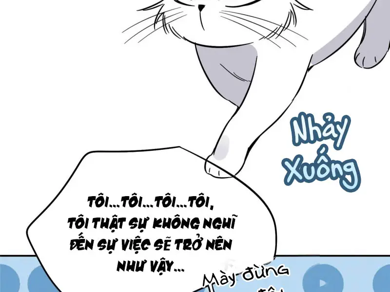 hom-nay-van-phai-no-luc-lam-mot-chu-meo-chap-27-52