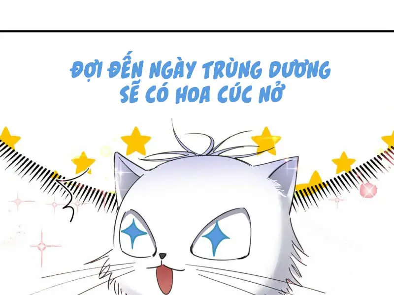 hom-nay-van-phai-no-luc-lam-mot-chu-meo-chap-28-119