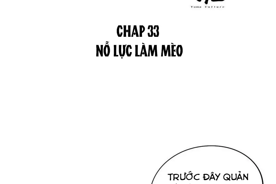 hom-nay-van-phai-no-luc-lam-mot-chu-meo-chap-33-4