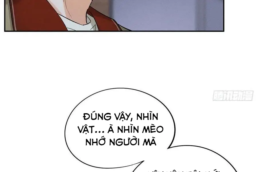 hom-nay-van-phai-no-luc-lam-mot-chu-meo-chap-33-6