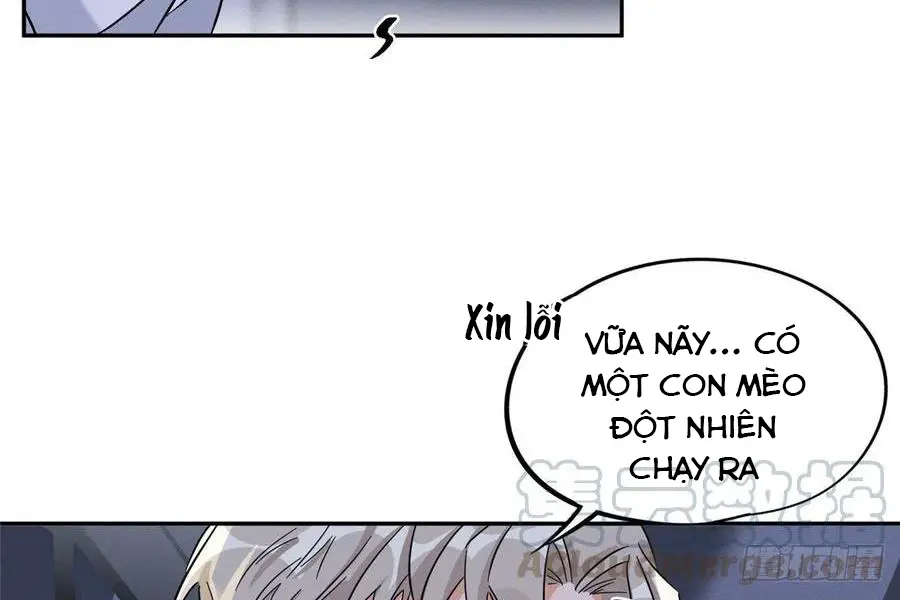 hom-nay-van-phai-no-luc-lam-mot-chu-meo-chap-33-28