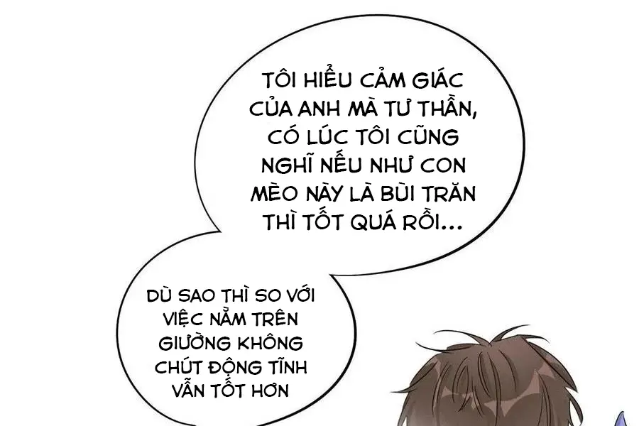 hom-nay-van-phai-no-luc-lam-mot-chu-meo-chap-33-30