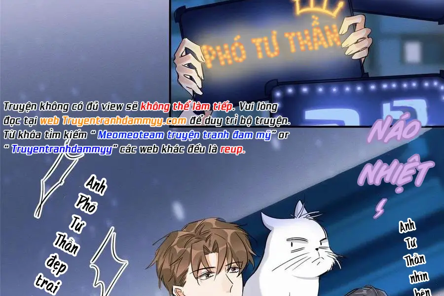 hom-nay-van-phai-no-luc-lam-mot-chu-meo-chap-33-48