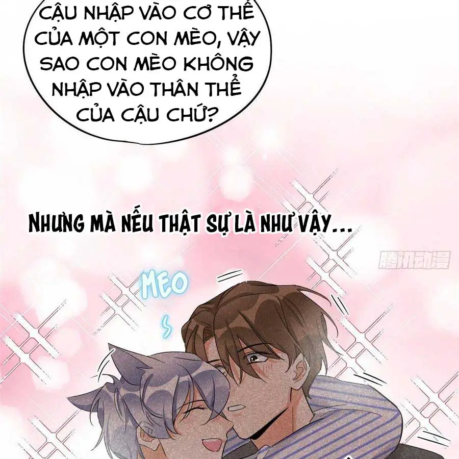 hom-nay-van-phai-no-luc-lam-mot-chu-meo-chap-38-28