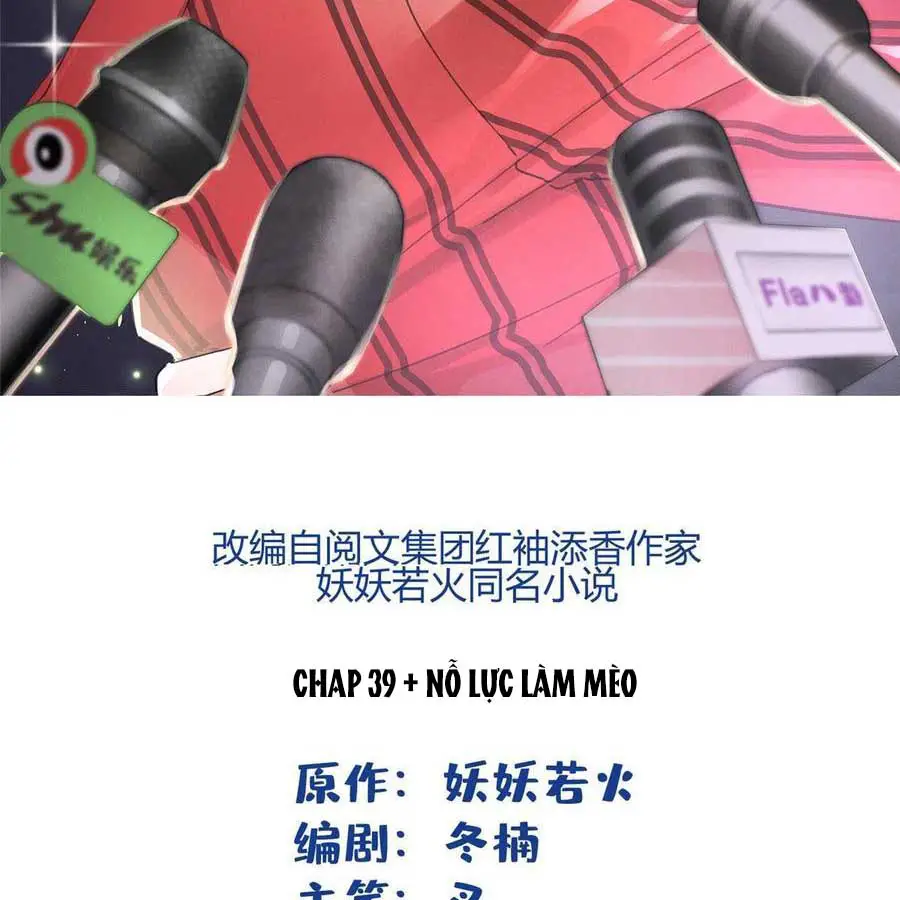 hom-nay-van-phai-no-luc-lam-mot-chu-meo-chap-39-1