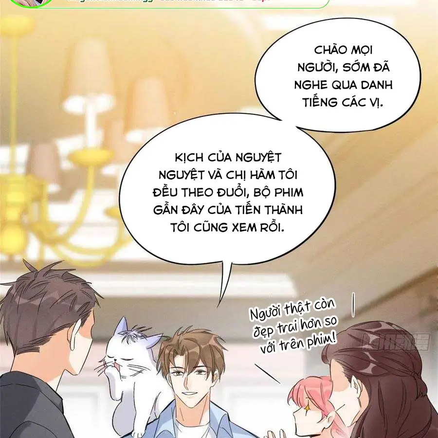 hom-nay-van-phai-no-luc-lam-mot-chu-meo-chap-39-16