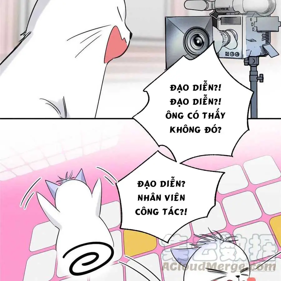 hom-nay-van-phai-no-luc-lam-mot-chu-meo-chap-39-48