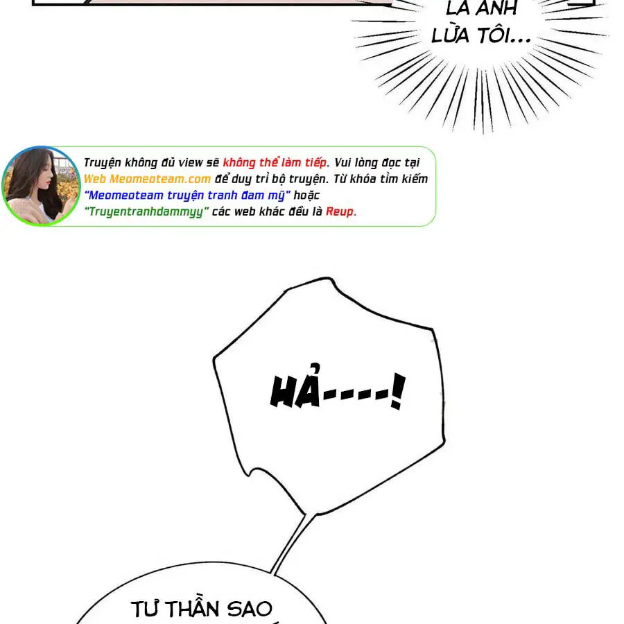 hom-nay-van-phai-no-luc-lam-mot-chu-meo-chap-40-24