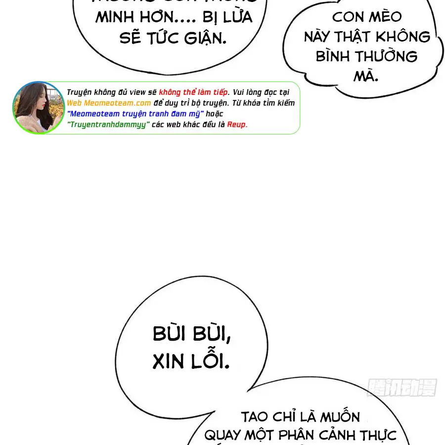 hom-nay-van-phai-no-luc-lam-mot-chu-meo-chap-40-29