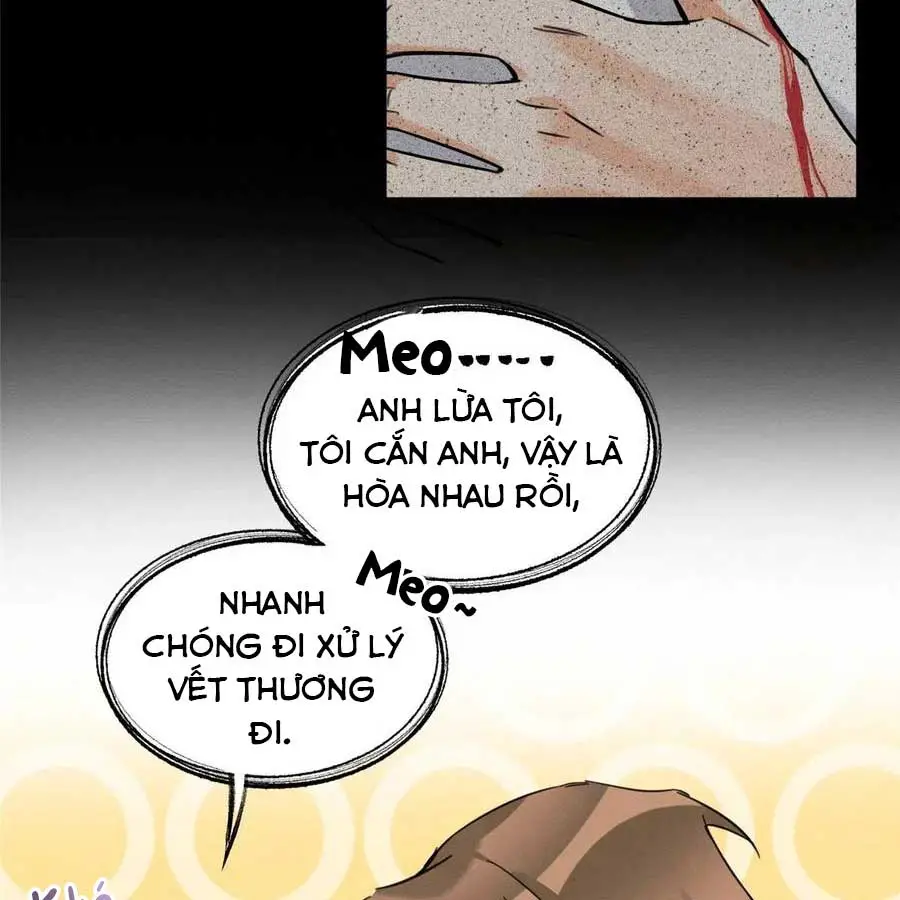 hom-nay-van-phai-no-luc-lam-mot-chu-meo-chap-40-40