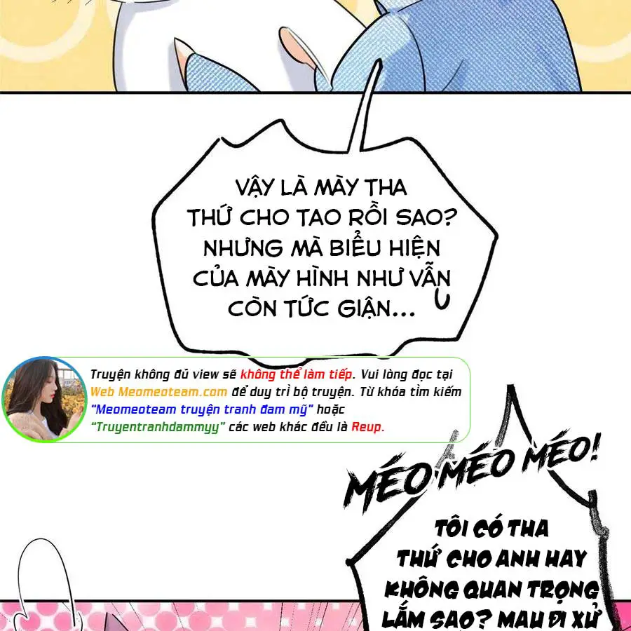 hom-nay-van-phai-no-luc-lam-mot-chu-meo-chap-40-42