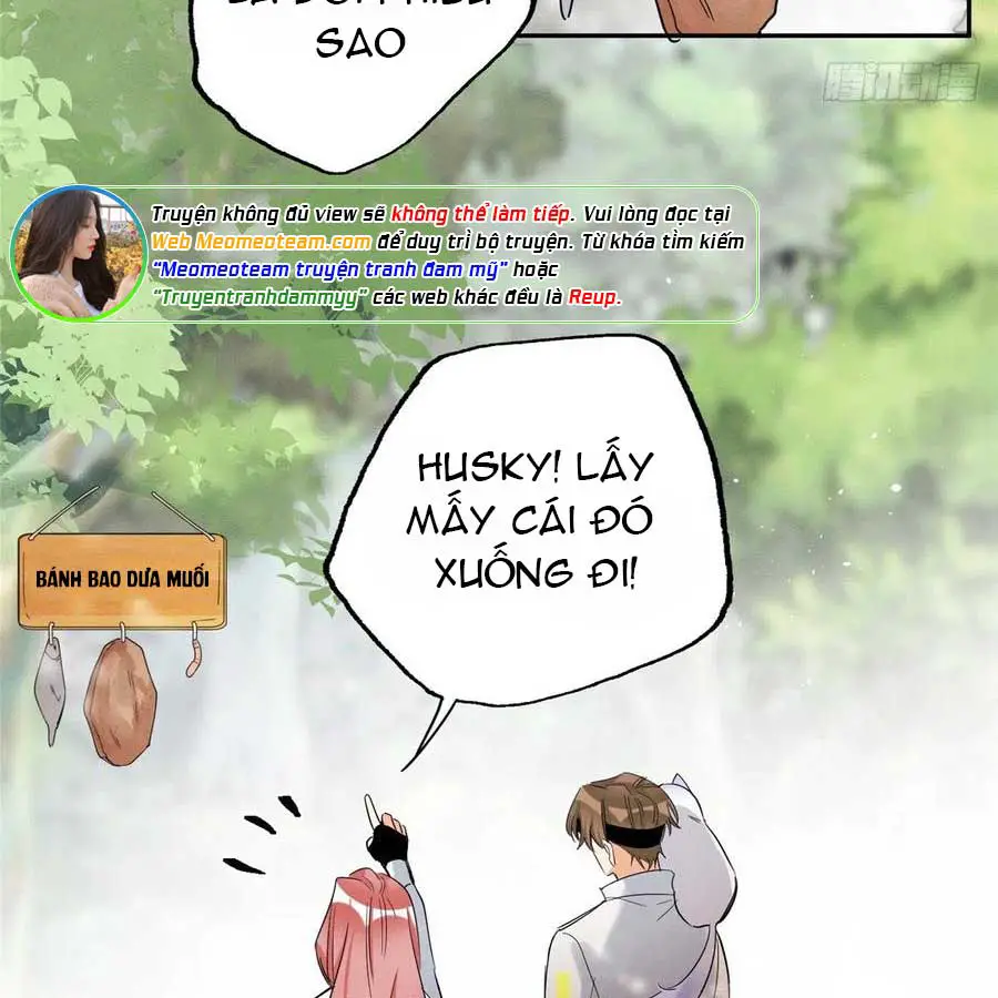 hom-nay-van-phai-no-luc-lam-mot-chu-meo-chap-41-48