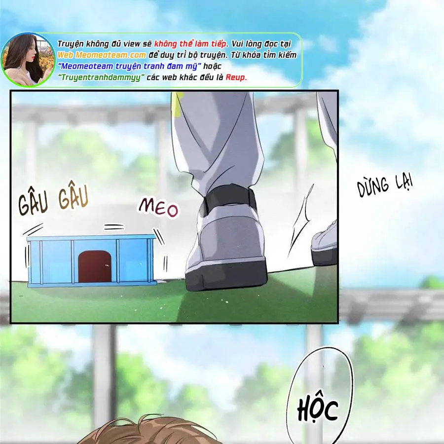 hom-nay-van-phai-no-luc-lam-mot-chu-meo-chap-42-57