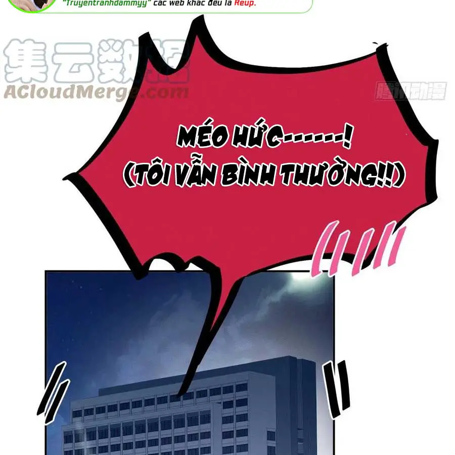 hom-nay-van-phai-no-luc-lam-mot-chu-meo-chap-46-62