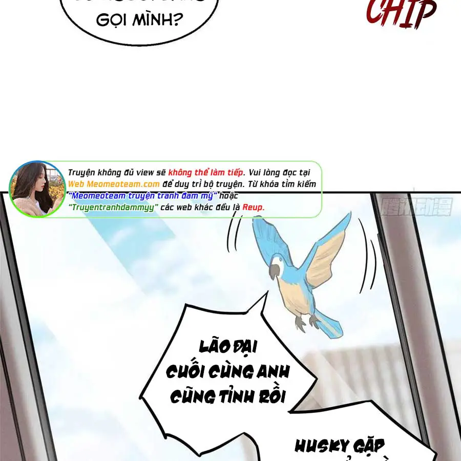 hom-nay-van-phai-no-luc-lam-mot-chu-meo-chap-46-68