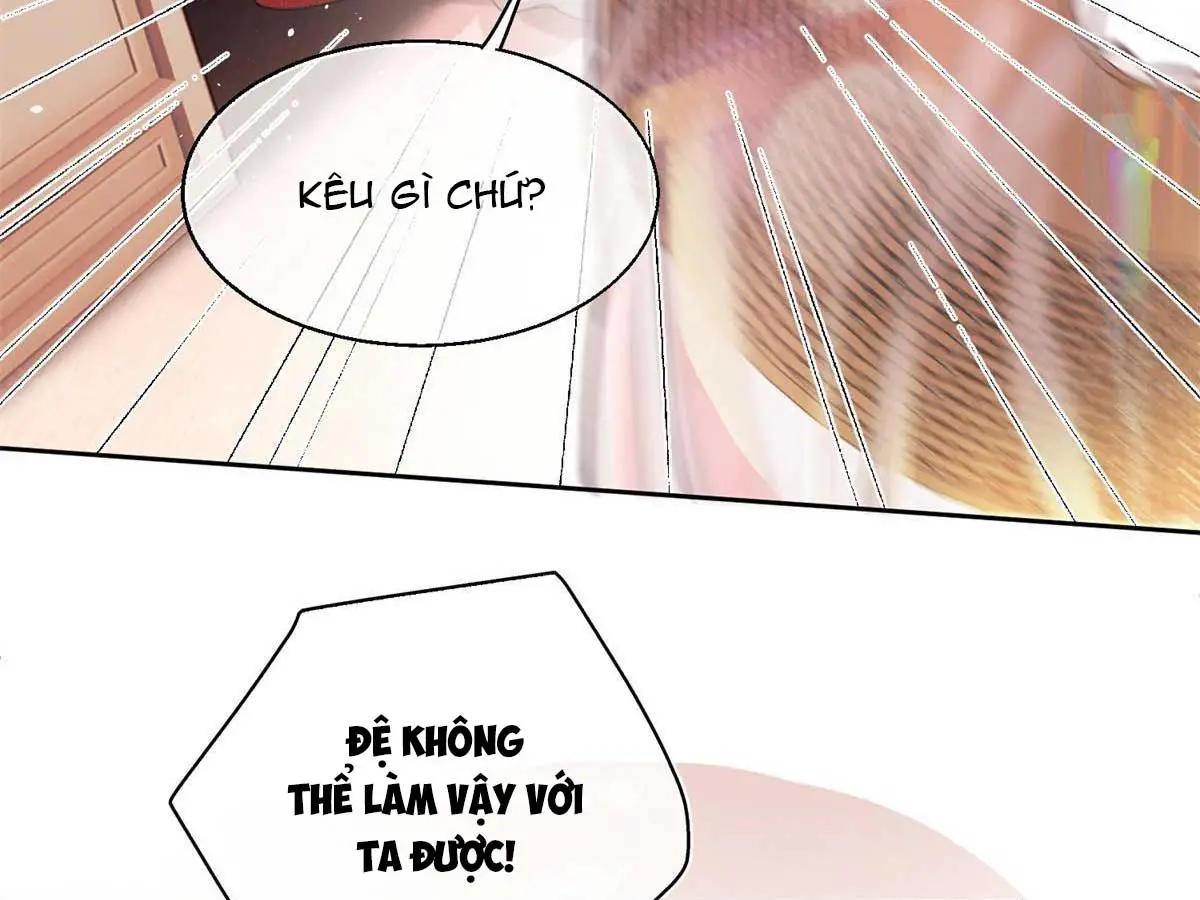 hom-nay-van-phai-no-luc-lam-mot-chu-meo-chap-85-46