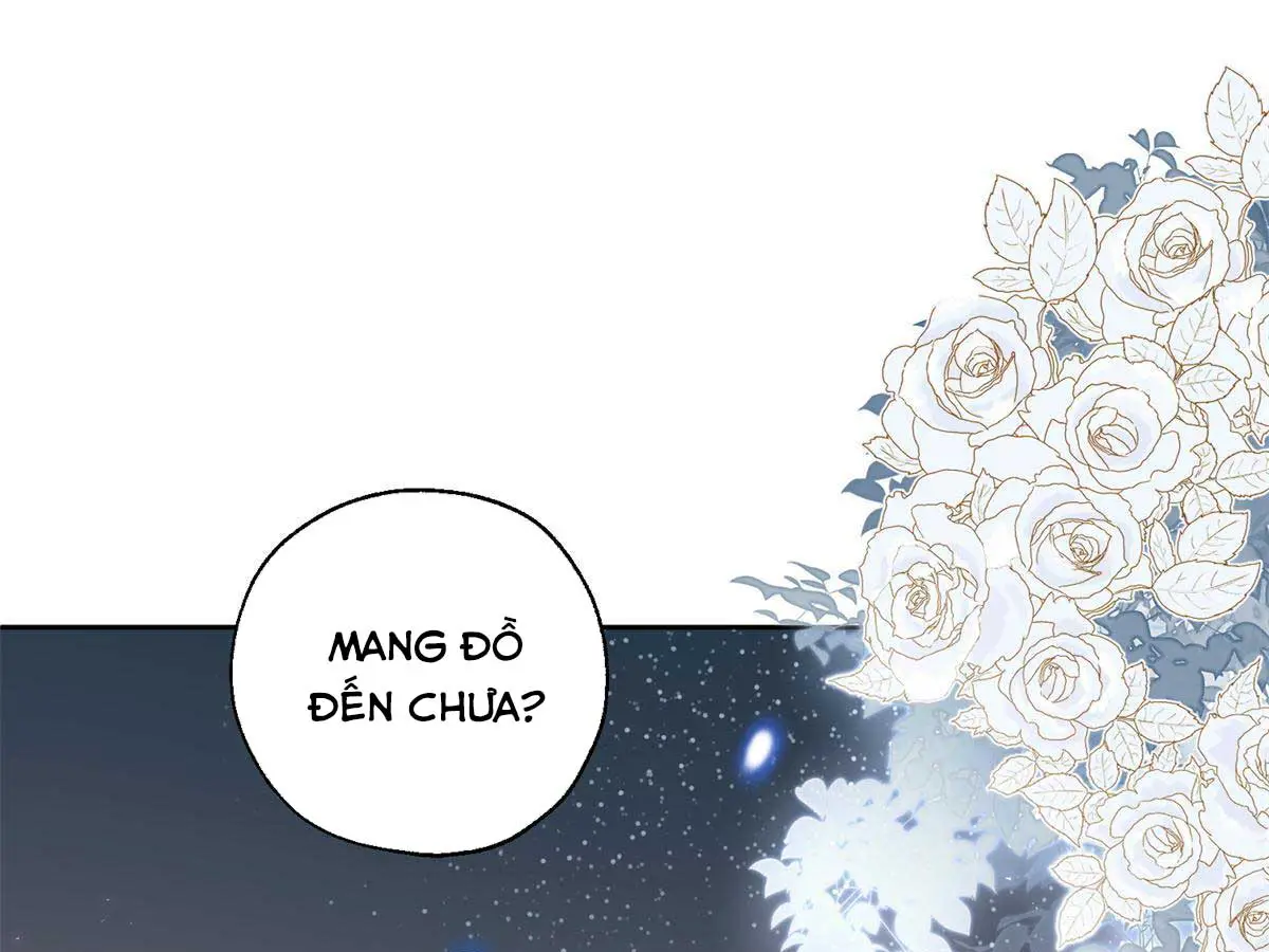 hom-nay-van-phai-no-luc-lam-mot-chu-meo-chap-86-24