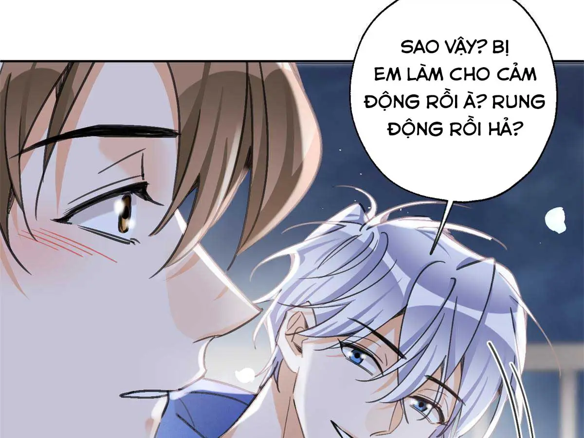 hom-nay-van-phai-no-luc-lam-mot-chu-meo-chap-86-72