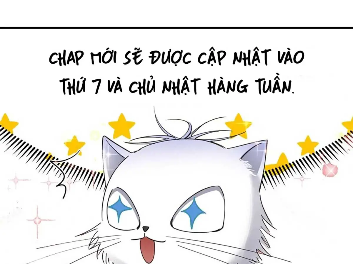 hom-nay-van-phai-no-luc-lam-mot-chu-meo-chap-86-90