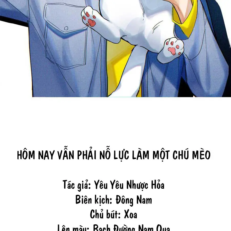 hom-nay-van-phai-no-luc-lam-mot-chu-meo-chap-87-1