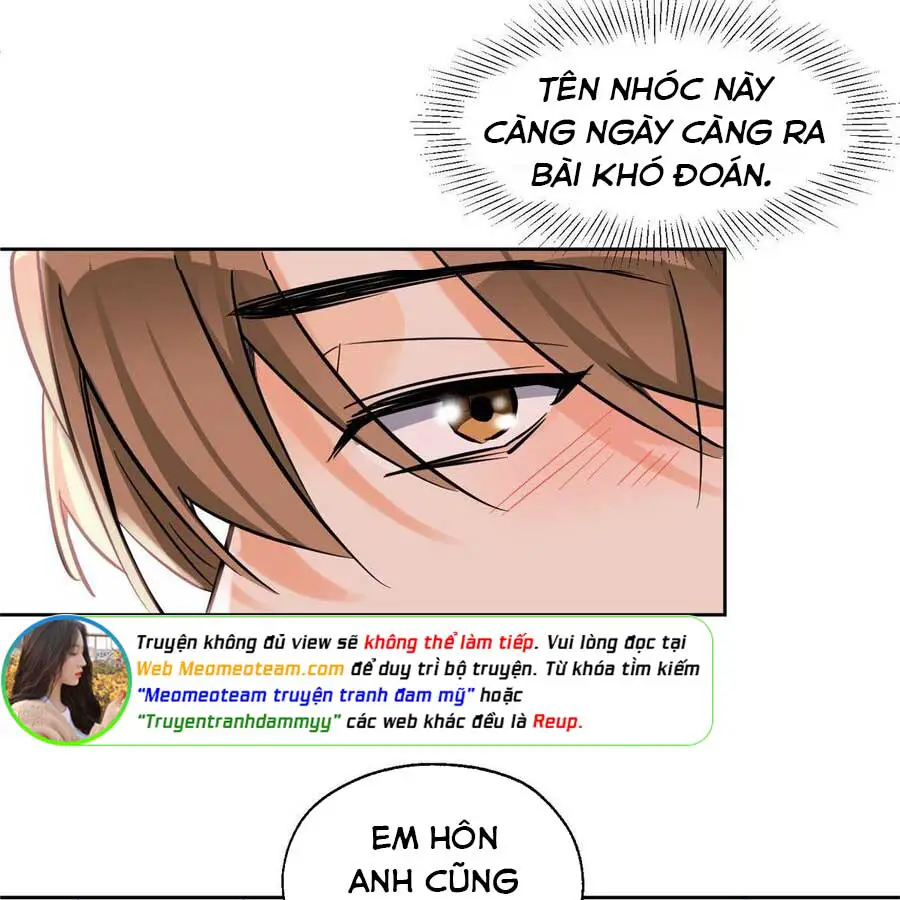 hom-nay-van-phai-no-luc-lam-mot-chu-meo-chap-87-5