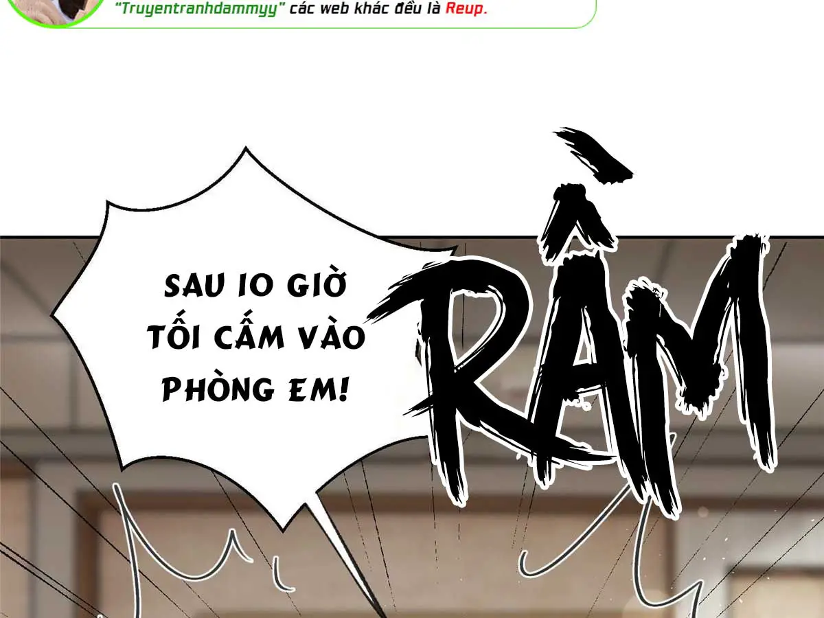 hom-nay-van-phai-no-luc-lam-mot-chu-meo-chap-89-11