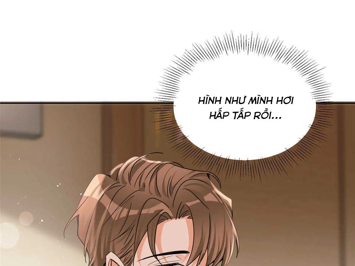 hom-nay-van-phai-no-luc-lam-mot-chu-meo-chap-89-14