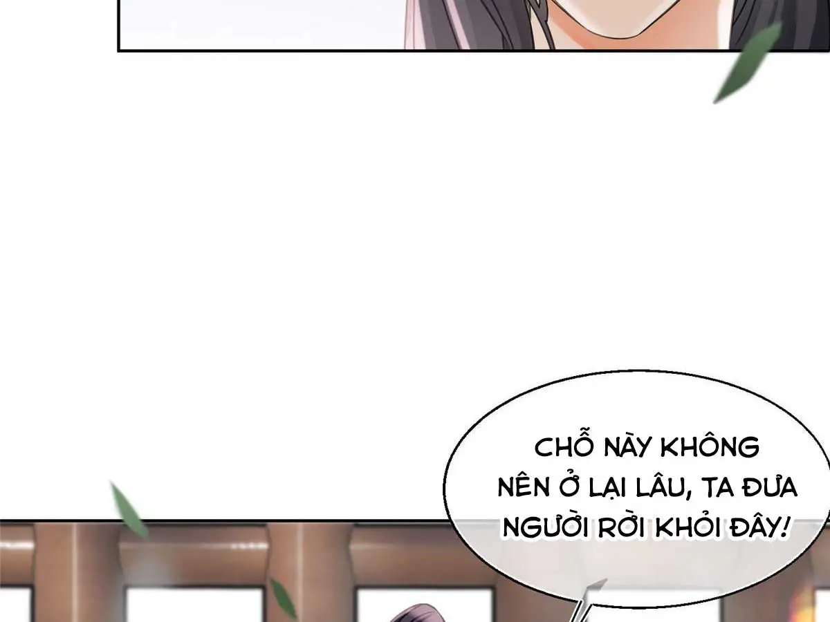 hom-nay-van-phai-no-luc-lam-mot-chu-meo-chap-89-41