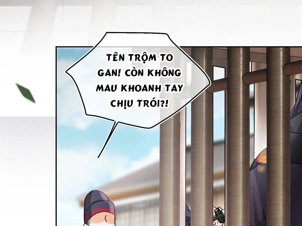 hom-nay-van-phai-no-luc-lam-mot-chu-meo-chap-89-77