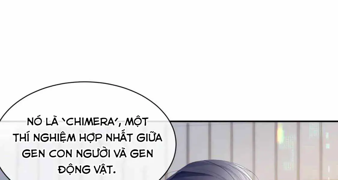 don-ly-hon-chap-37-8