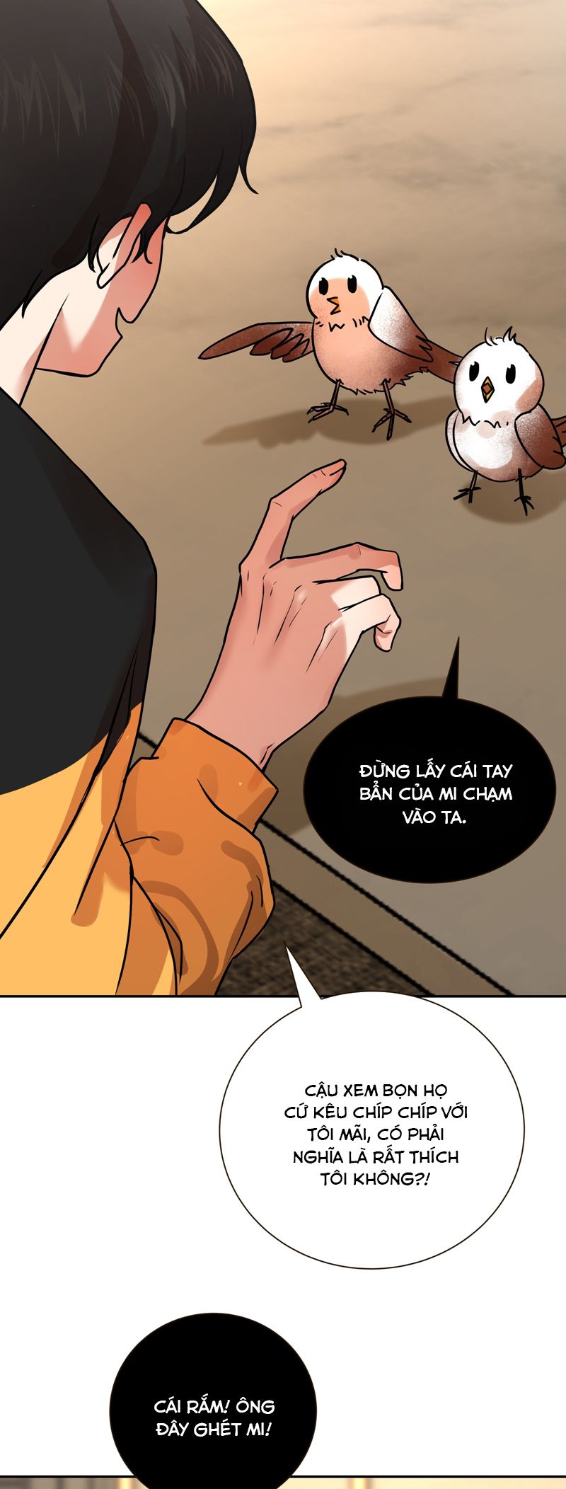 khi-ac-ma-dong-tam-chap-8-5